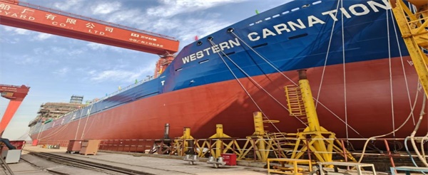 1768889274686949.jpg 圖片1.jpg