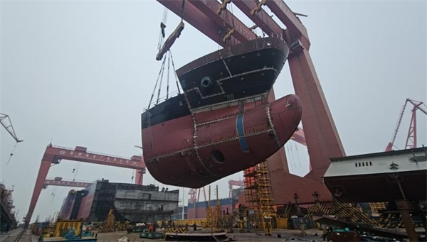 1769655565808463.jpg 圖片2.jpg